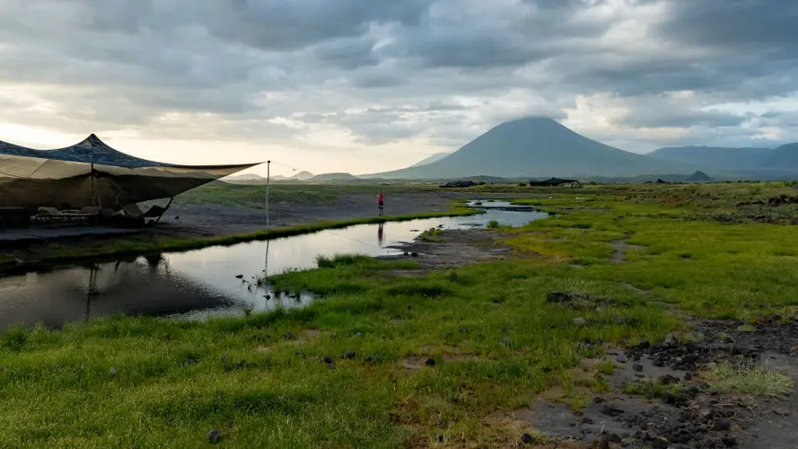 Lesser Flamingo Lake Natron