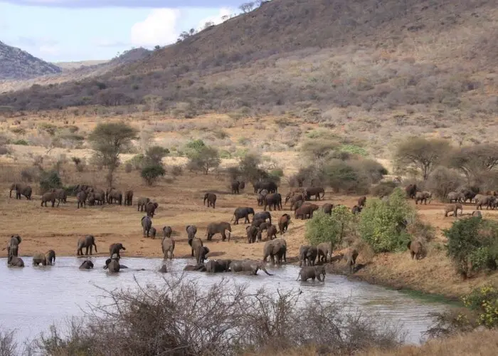 Visit Mkomazi NP Tanzania