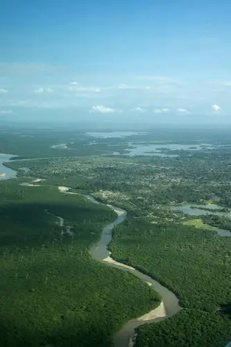 Visit Nyerere (former Selous)