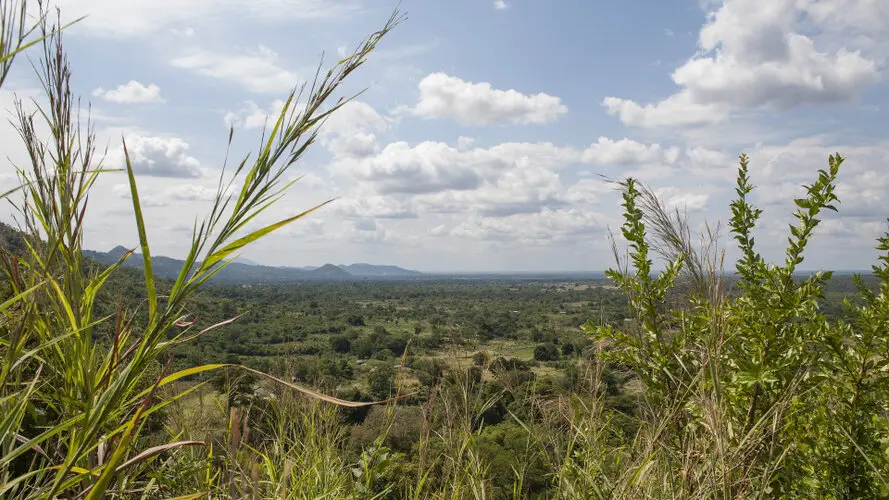 Visit Nyerere (former Selous)